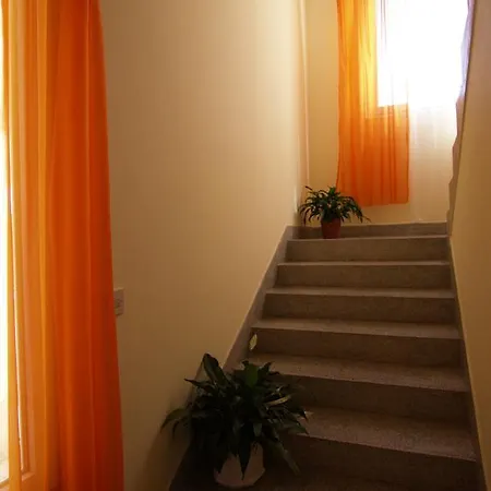 Apartment Dudic