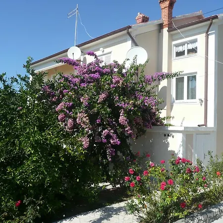 Apartment Dudic